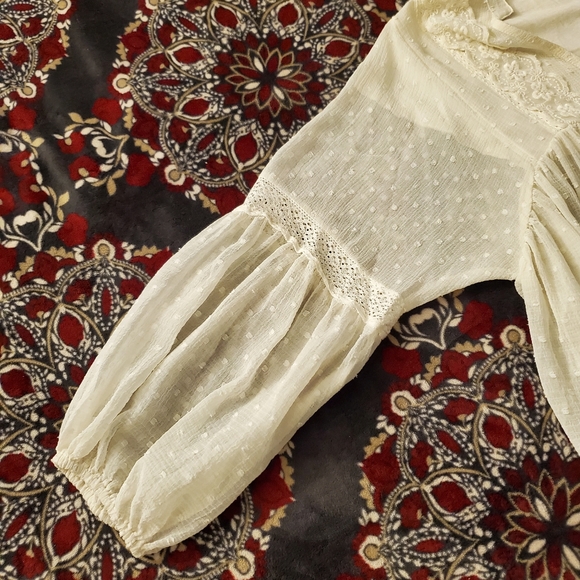 Zara Swiss Dot Sheer Peasant Blouse - Picture 5 of 15